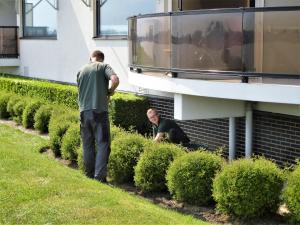 Onderhoud, seniorencomplexen Papendrecht